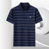 Pierre Cardin Men's Blue Striped Polo Shirt – Regular Fit PL51TSA129Z790